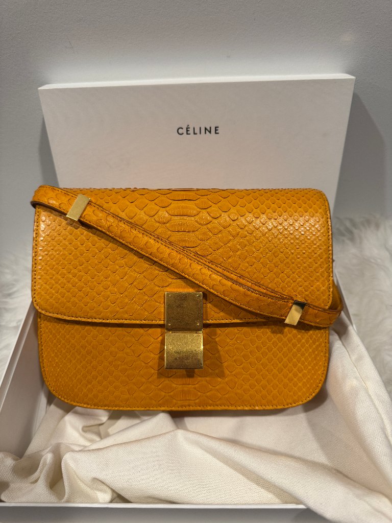 Celine Python Box - Medium